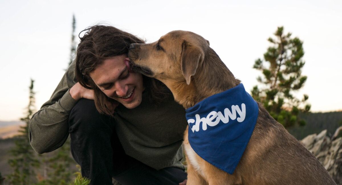 Dressage de Chien au Mordant