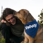 Dressage de Chien au Mordant